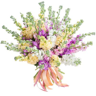 Букет из маттиолл микс «Цветочный шедевр»