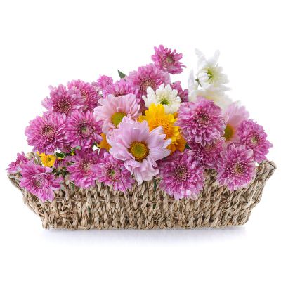 Корзина с цветами «Цветочная Сказка»