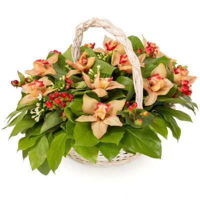 Корзинка с орхидеями «Персиковая радость»